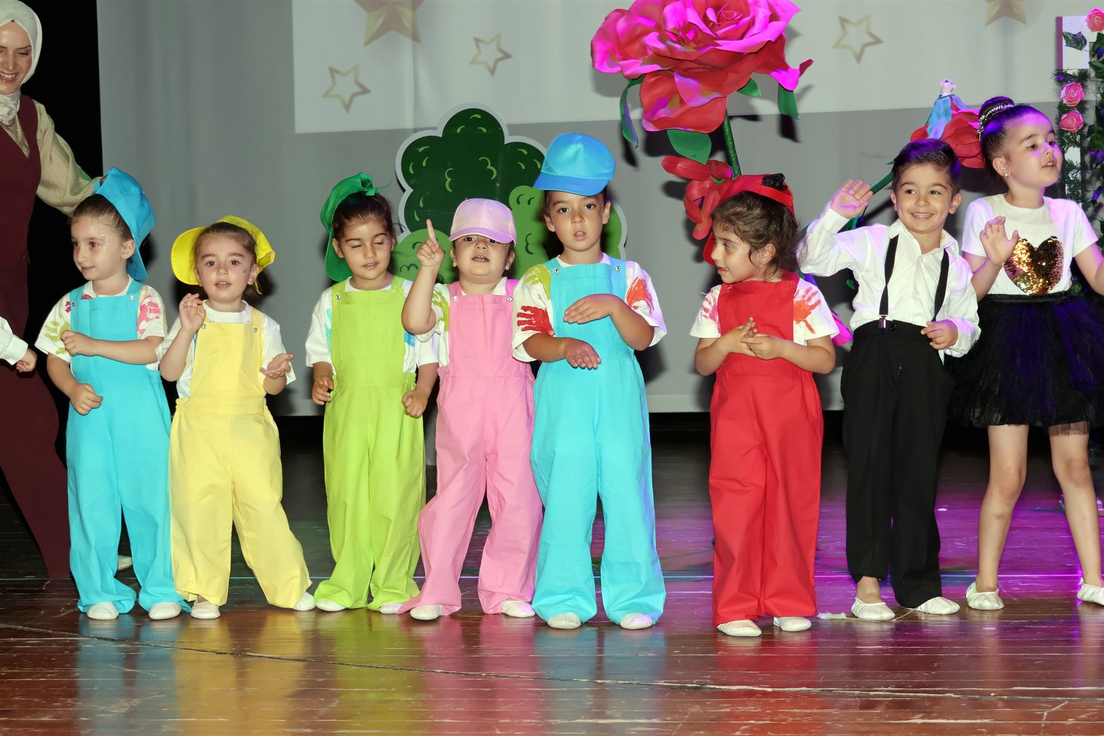 .. Galeri Görselleri